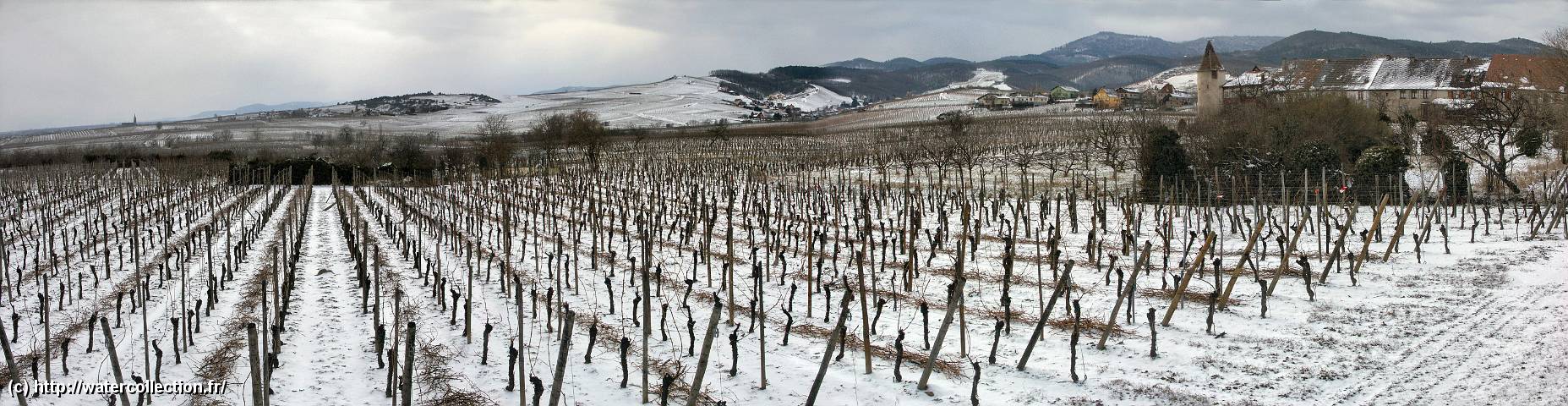 2005-02-27 Les-Vignes-d-Alsace_PICT0014_Panorama.jpg